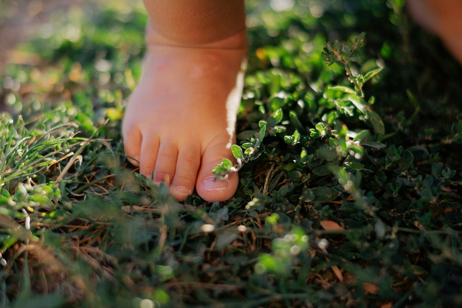 A toddler's bare foot stepping onto grass in the sunshine